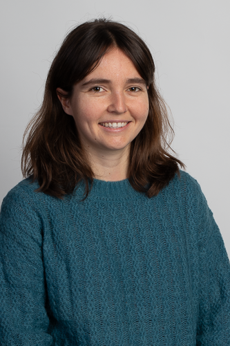 Gené Cerdó, Concepció