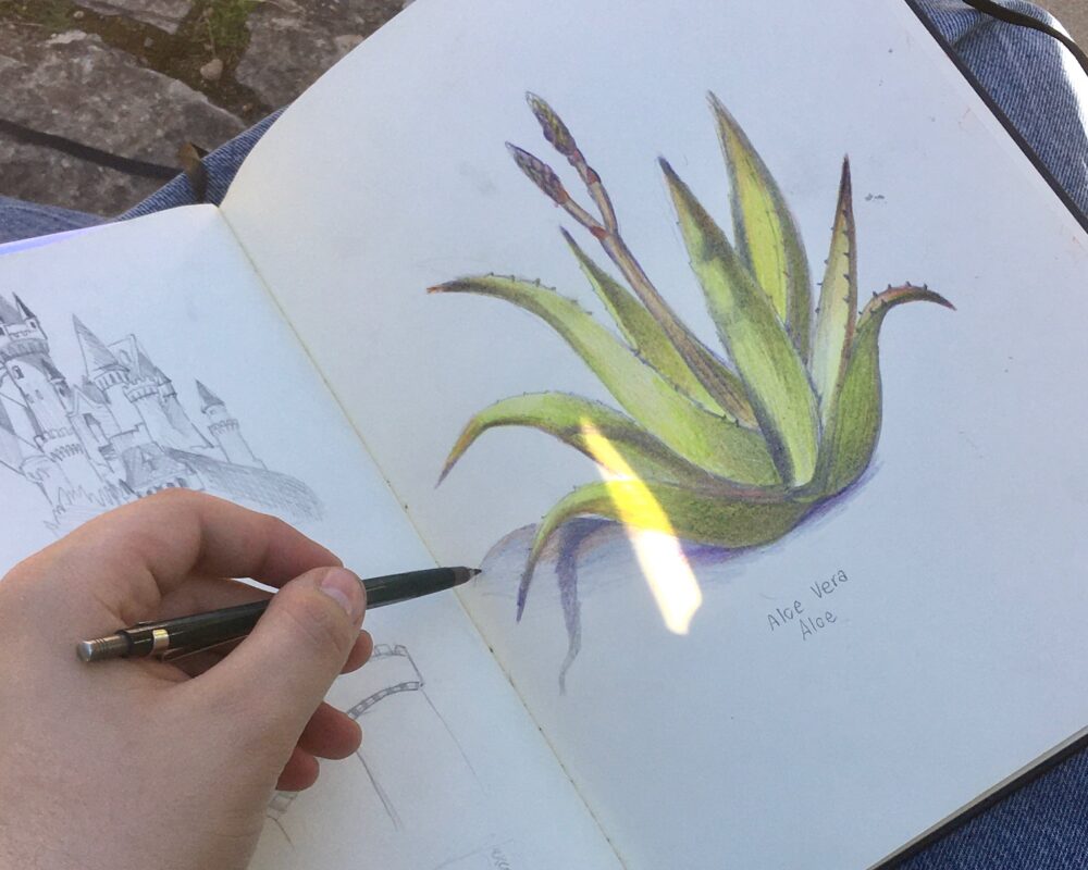 L’alumnat de 2n de Gràfic visita el Jardí Botànic de Sóller